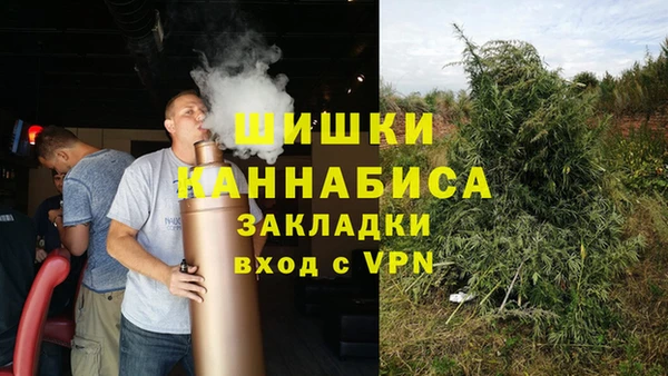 ECSTASY Гусев