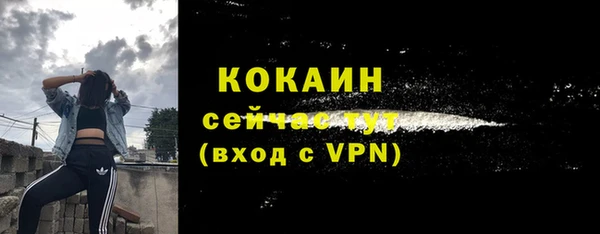 ГАЛЛЮЦИНОГЕННЫЕ ГРИБЫ Гусиноозёрск