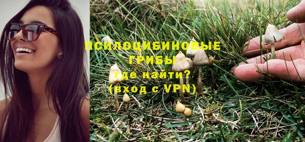 ГАЛЛЮЦИНОГЕННЫЕ ГРИБЫ Гусиноозёрск