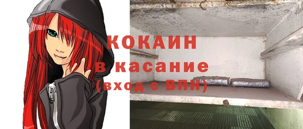 ГАЛЛЮЦИНОГЕННЫЕ ГРИБЫ Гусиноозёрск